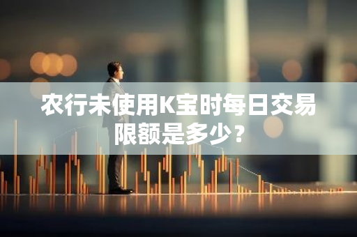 农行未使用K宝时每日交易限额是多少？