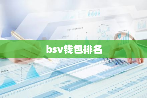 bsv钱包排名