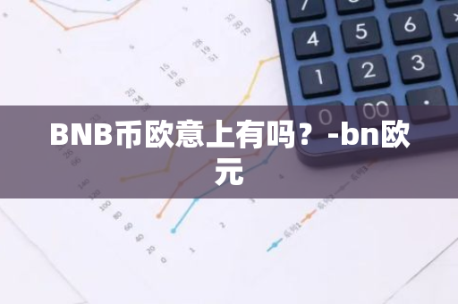 BNB币欧意上有吗？-bn欧元