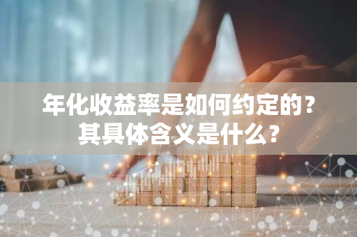 年化收益率是如何约定的？其具体含义是什么？