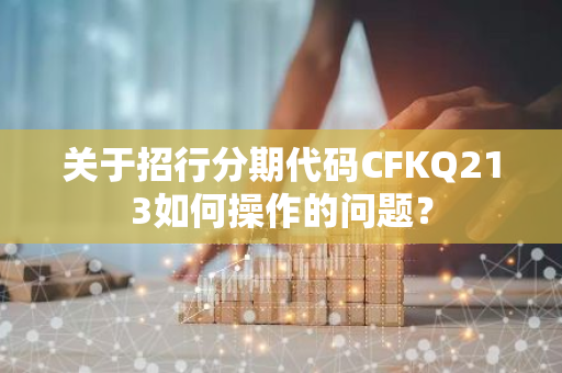 关于招行分期代码CFKQ213如何操作的问题？