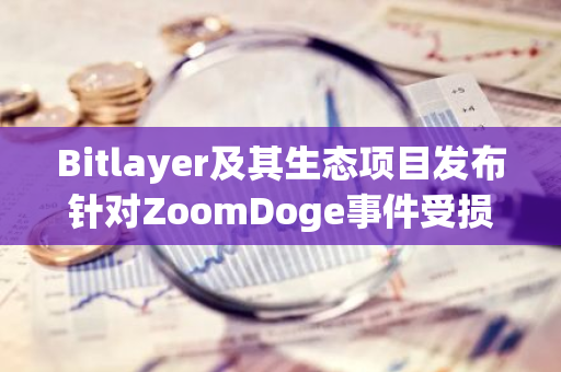 Bitlayer及其生态项目发布针对ZoomDoge事件受损用户的专属勇者激励计划