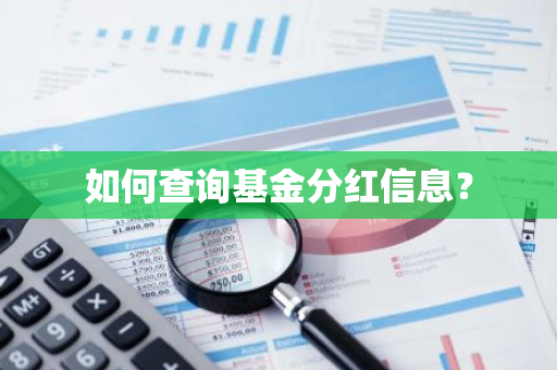 如何查询基金分红信息？