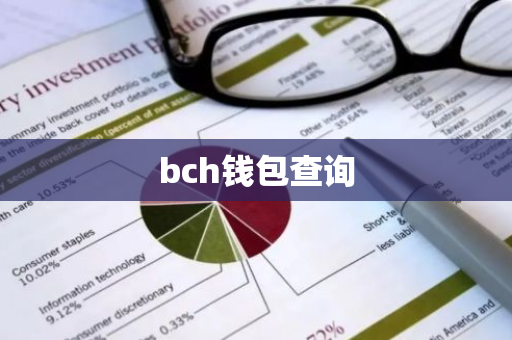 bch钱包查询