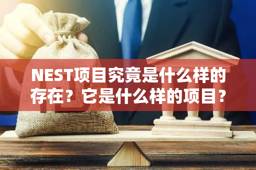 NEST项目究竟是什么样的存在？它是什么样的项目？