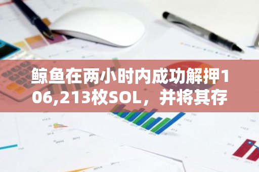 鲸鱼在两小时内成功解押106,213枚SOL，并将其存入Binance交易所