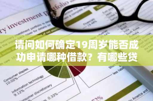 请问如何确定19周岁能否成功申请哪种借款？有哪些贷款产品适合我？