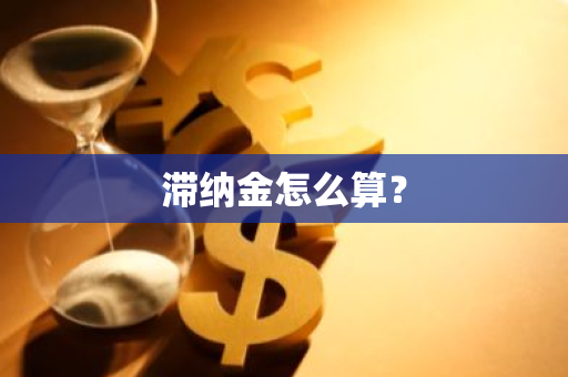 滞纳金怎么算？