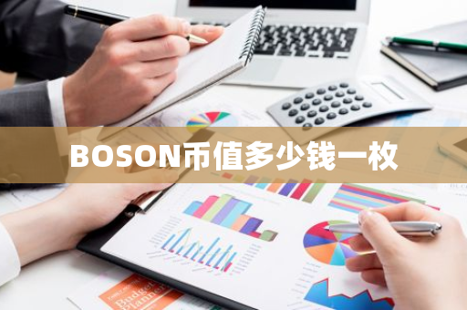 BOSON币值多少钱一枚