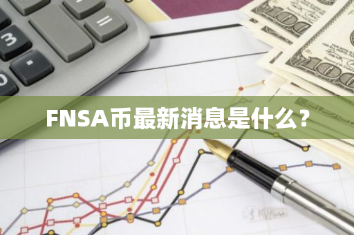 FNSA币最新消息是什么？