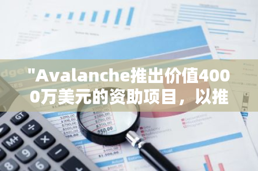 "Avalanche推出价值4000万美元的资助项目，以推动创新和发展"