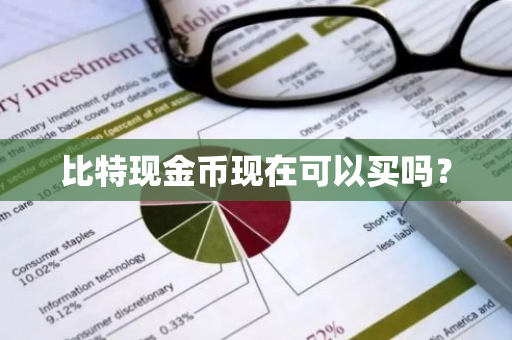 比特现金币现在可以买吗？