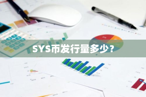 SYS币发行量多少？