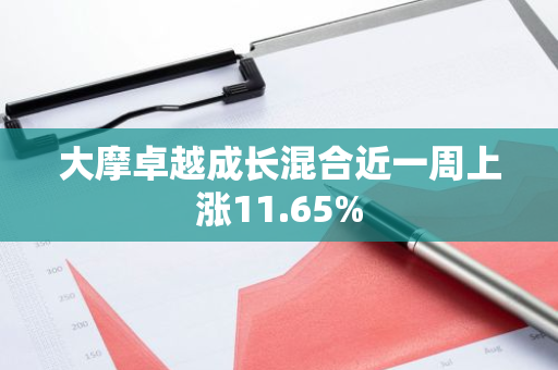 大摩卓越成长混合近一周上涨11.65%