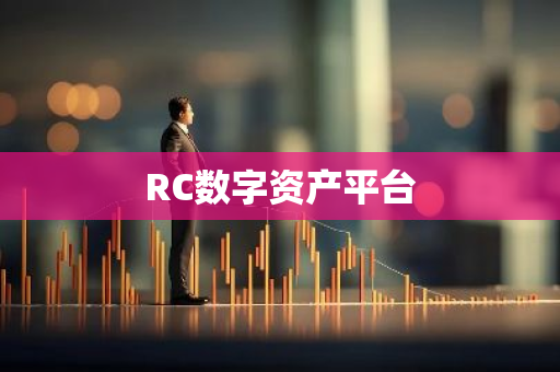 RC数字资产平台