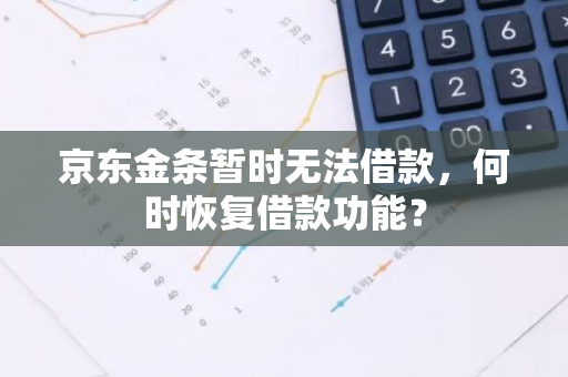 京东金条暂时无法借款，何时恢复借款功能？