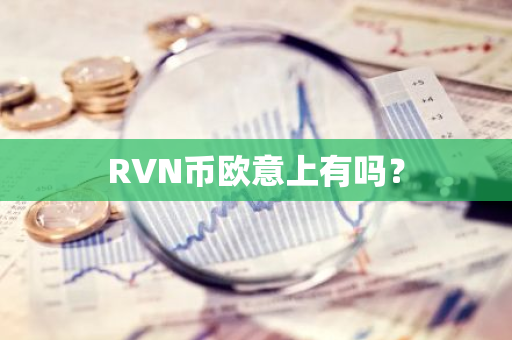 RVN币欧意上有吗？