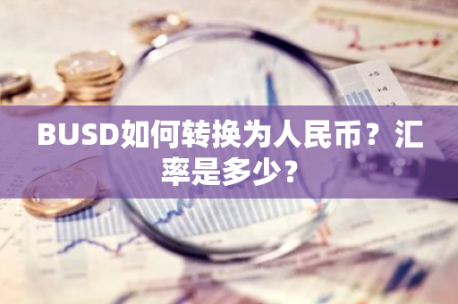 BUSD如何转换为人民币？汇率是多少？