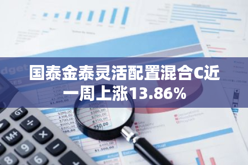 国泰金泰灵活配置混合C近一周上涨13.86%