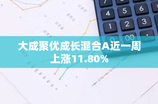 大成聚优成长混合A近一周上涨11.80%