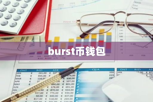 burst币钱包