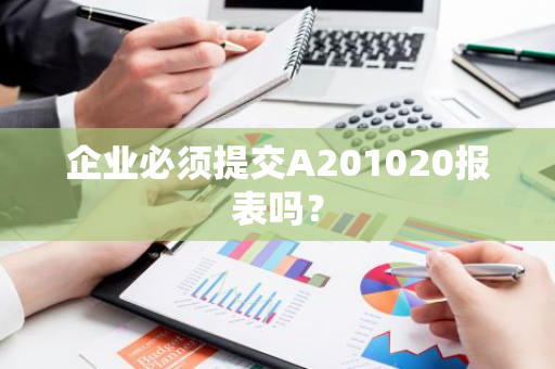 企业必须提交A201020报表吗？