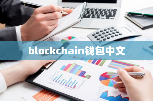 blockchain钱包中文