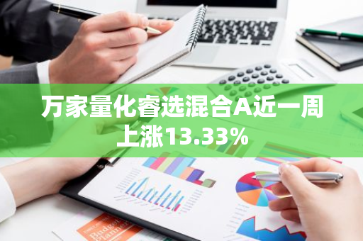 万家量化睿选混合A近一周上涨13.33%