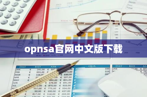 opnsa官网中文版下载