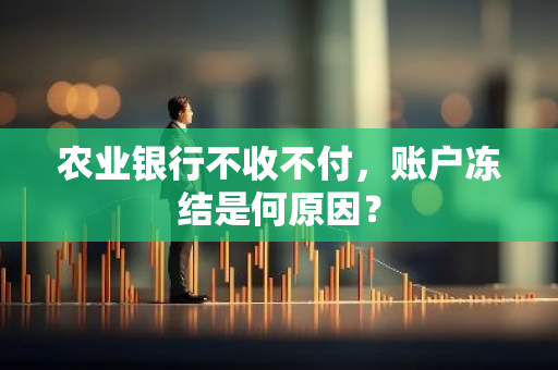 农业银行不收不付，账户冻结是何原因？