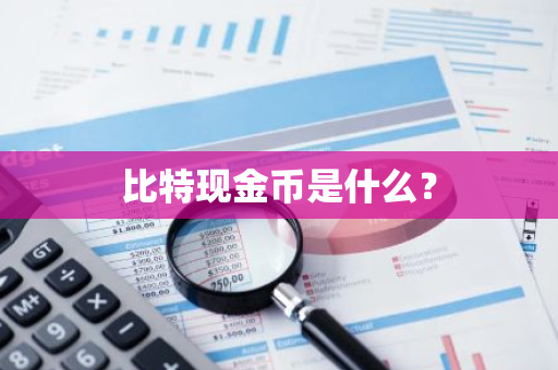 比特现金币是什么？