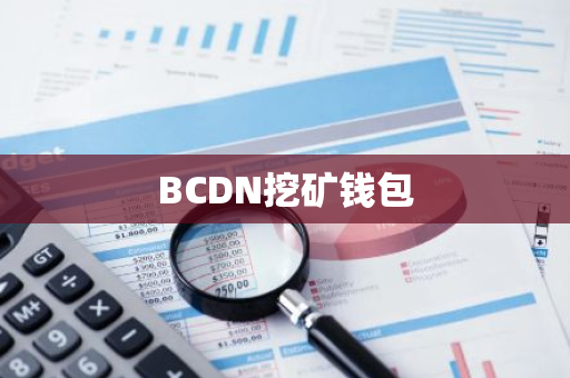 BCDN挖矿钱包