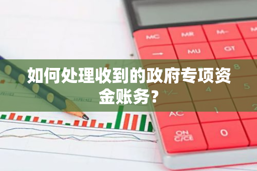 如何处理收到的政府专项资金账务？