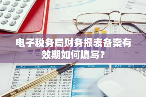 电子税务局财务报表备案有效期如何填写？