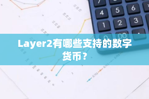 Layer2有哪些支持的数字货币？