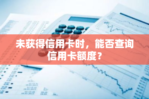 未获得信用卡时，能否查询信用卡额度？