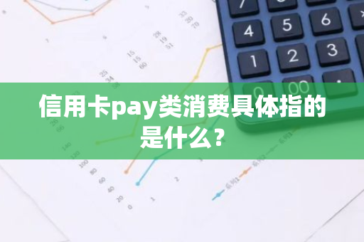 信用卡pay类消费具体指的是什么？