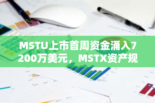 MSTU上市首周资金涌入7200万美元，MSTX资产规模突破4亿美元