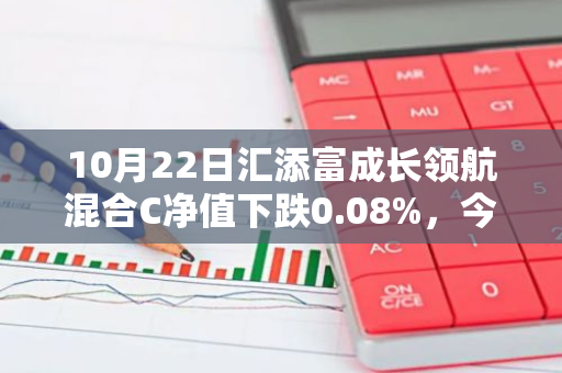 10月22日汇添富成长领航混合C净值下跌0.08%，今年来累计上涨1.69%