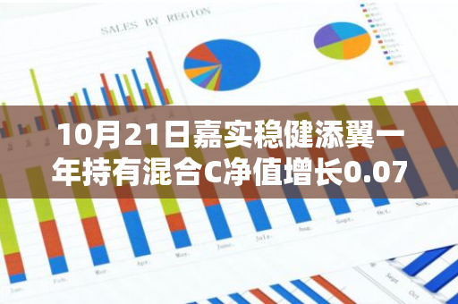 10月21日嘉实稳健添翼一年持有混合C净值增长0.07%，今年来累计上涨4.13%