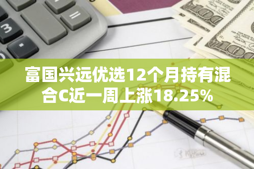 富国兴远优选12个月持有混合C近一周上涨18.25%