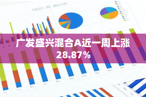 广发盛兴混合A近一周上涨28.87%