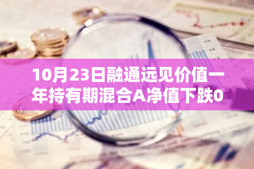 10月23日融通远见价值一年持有期混合A净值下跌0.44%，今年来累计下跌13.34%