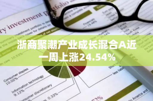 浙商聚潮产业成长混合A近一周上涨24.54%