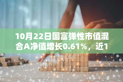 10月22日国富弹性市值混合A净值增长0.61%，近1个月累计上涨22.25%