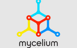 Mycelium钱包软件使用方法