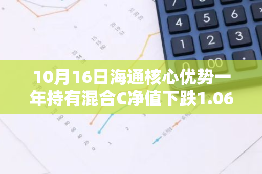 10月16日海通核心优势一年持有混合C净值下跌1.06%，今年来累计上涨0.53%