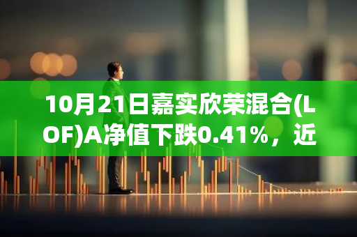 10月21日嘉实欣荣混合(LOF)A净值下跌0.41%，近6个月累计上涨4.65%