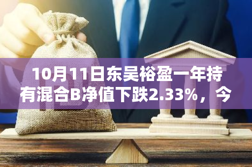 10月11日东吴裕盈一年持有混合B净值下跌2.33%，今年来累计上涨6.87%