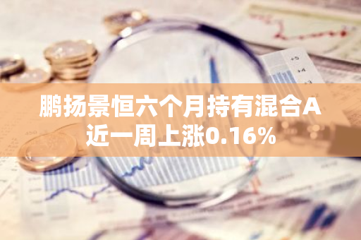 鹏扬景恒六个月持有混合A近一周上涨0.16%